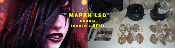 крисы Корсаков