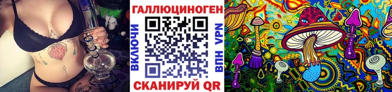 Галлюциногенные грибы Psilocybine cubensis  mega ссылка  Вышний Волочёк  купить  цена 